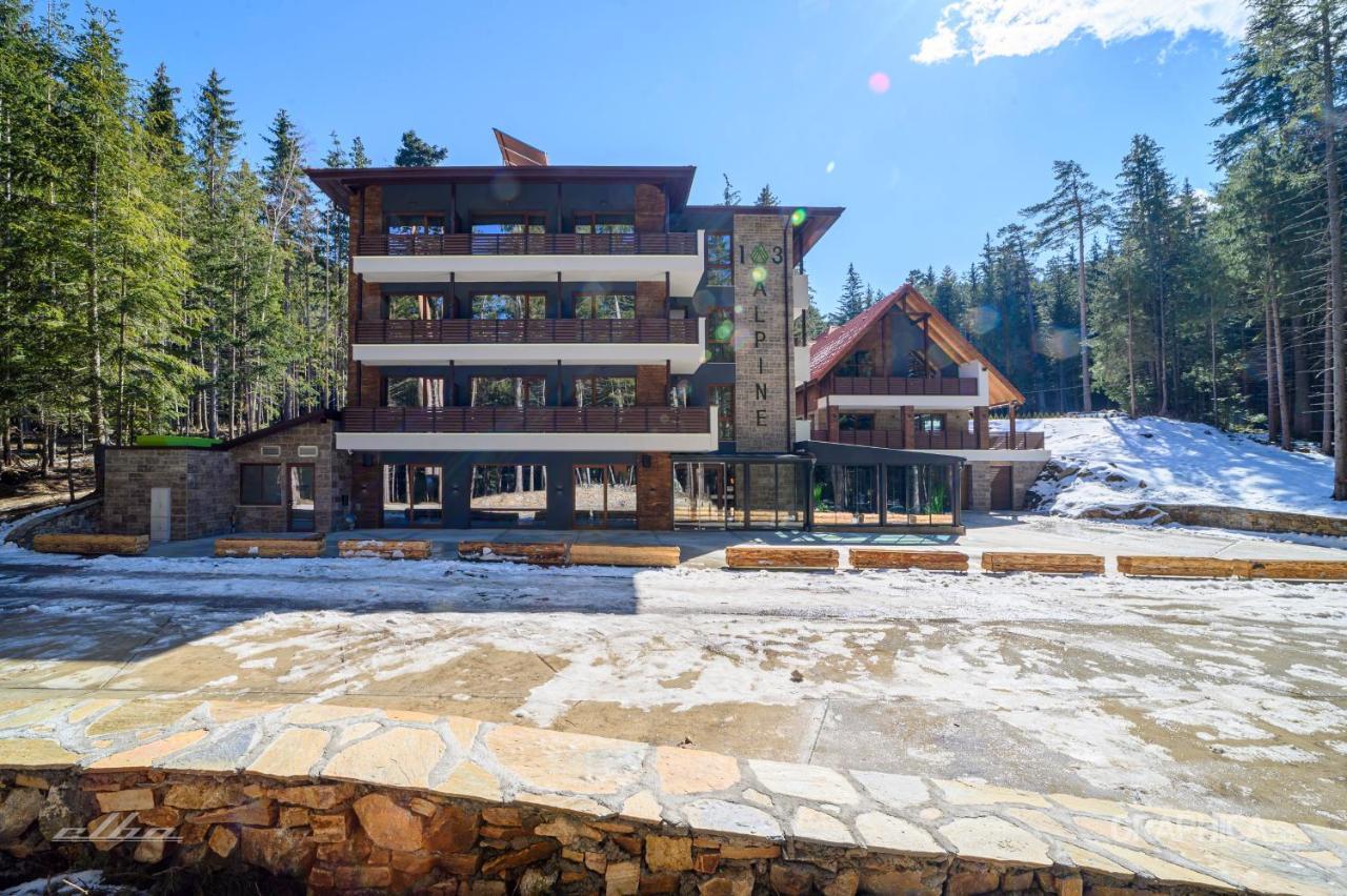 103 Alpine Hotel Panichishte Exterior photo