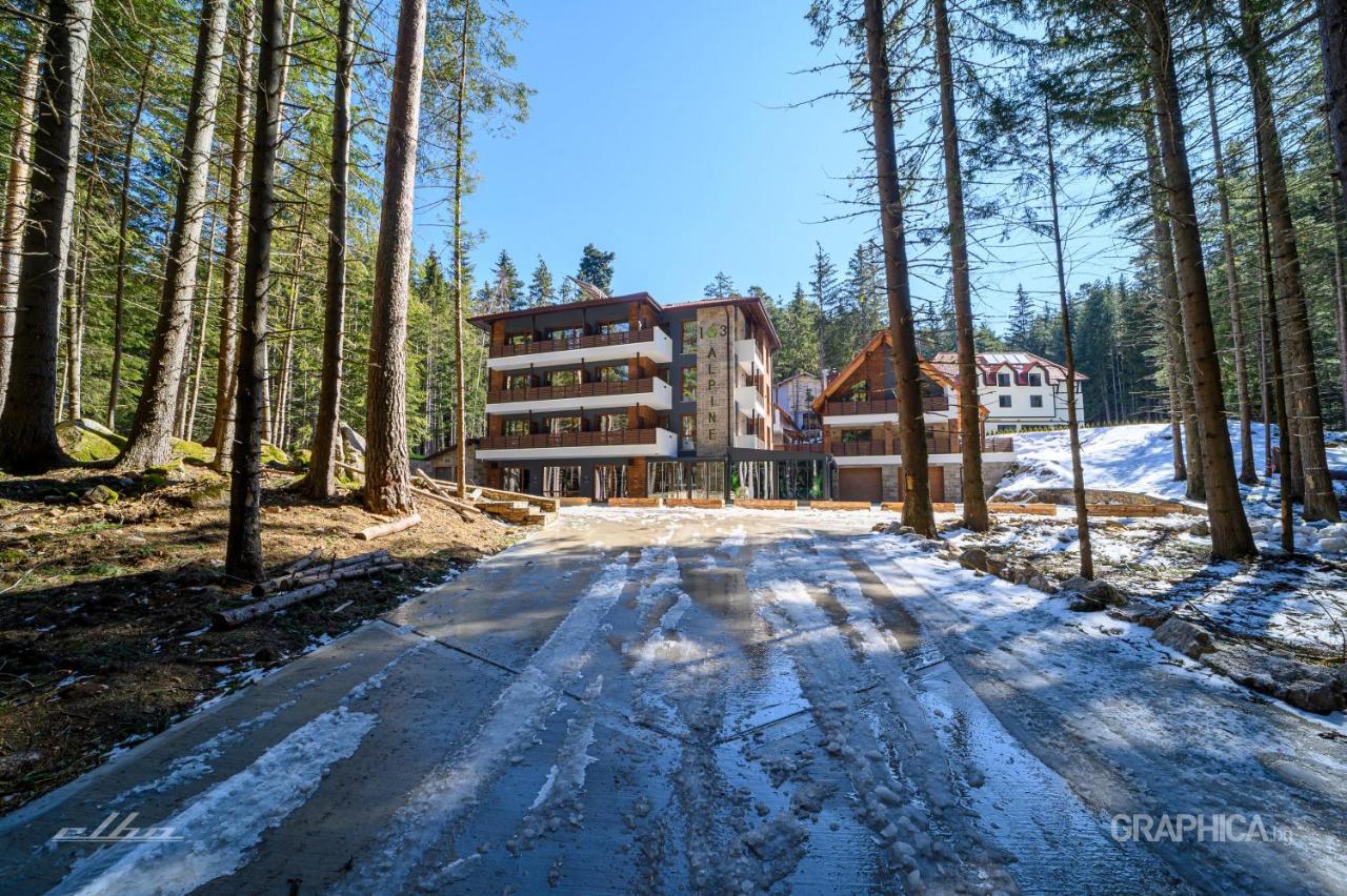 103 Alpine Hotel Panichishte Exterior photo
