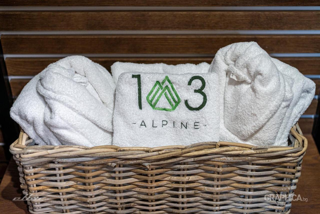 103 Alpine Hotel Panichishte Exterior photo